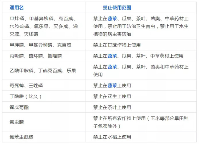 先玉335最新新闻动态与深度分析